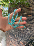 Blue Glass Bicone