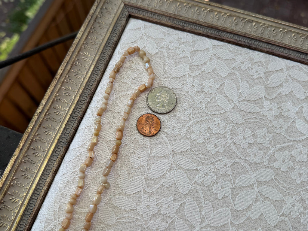 Shell Nuggets