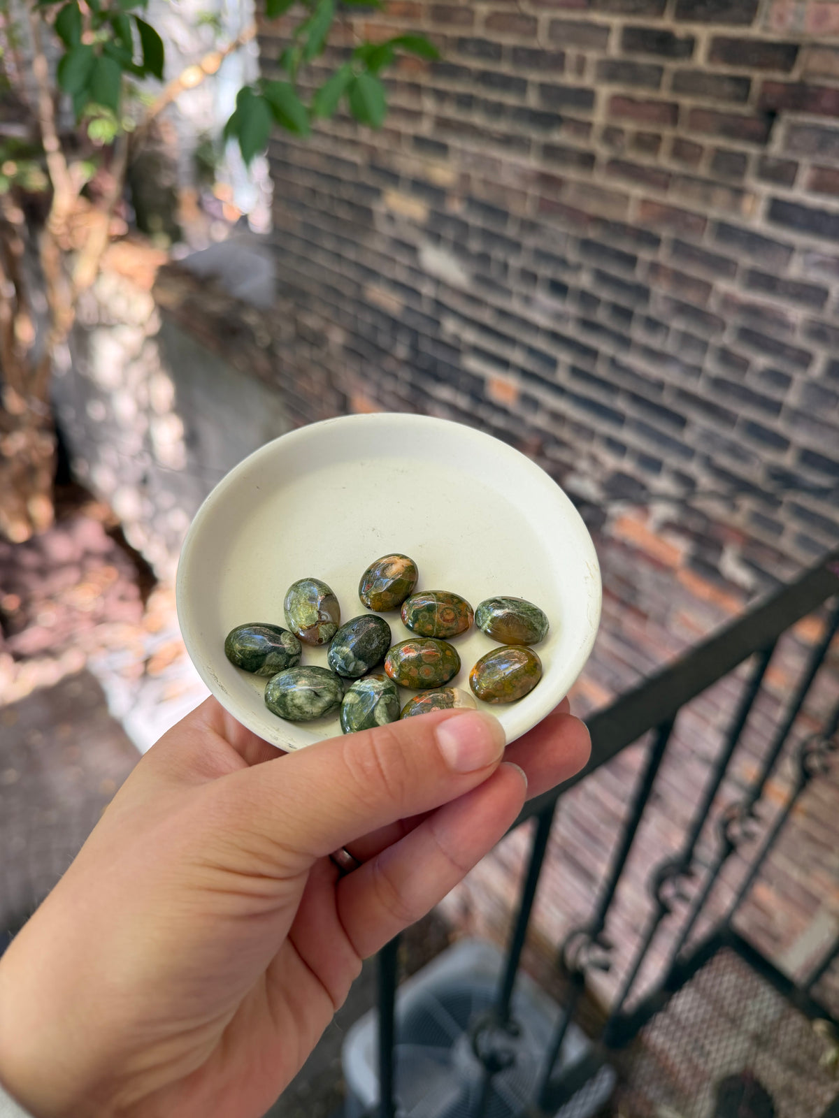 Rhyolite Ovals