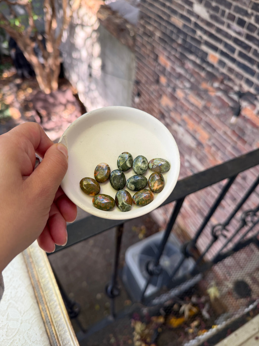 Rhyolite Ovals