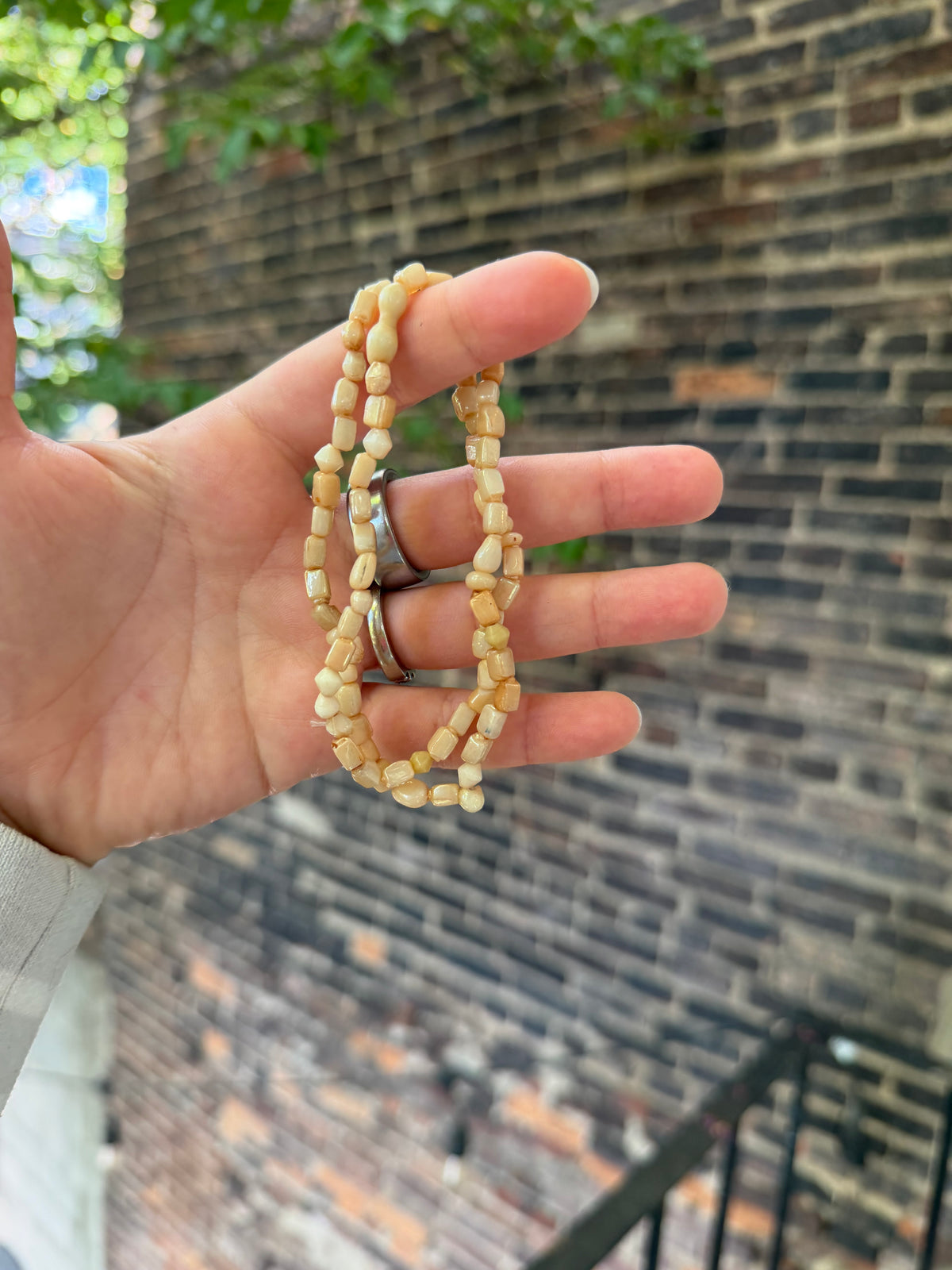 Shell Nuggets