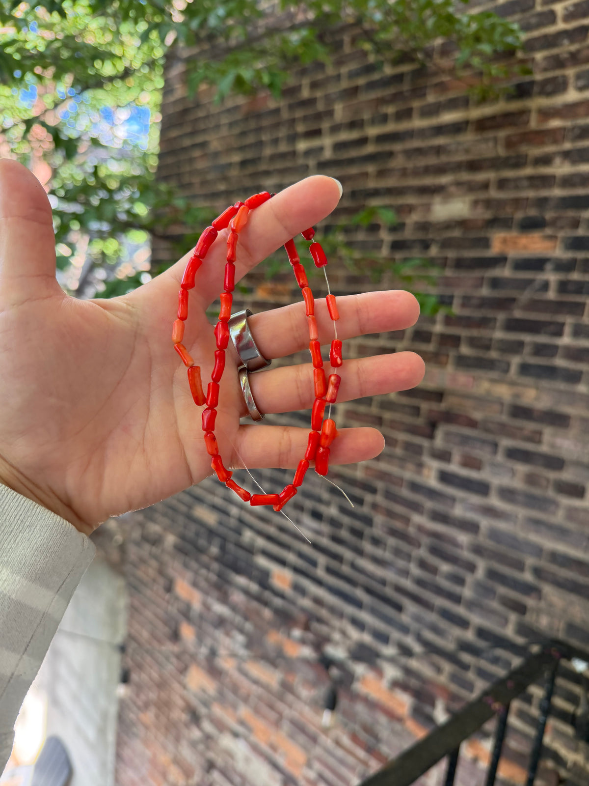 Red Coral