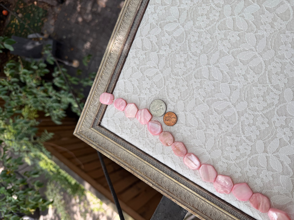 Dyed Pink Shell Stop-sign
