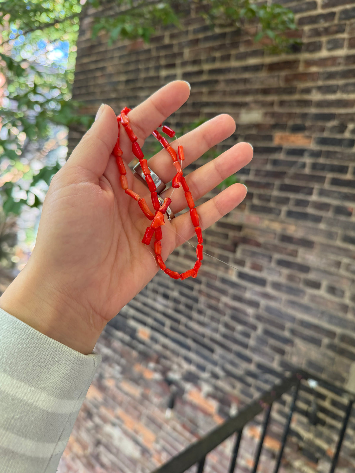 Red Coral
