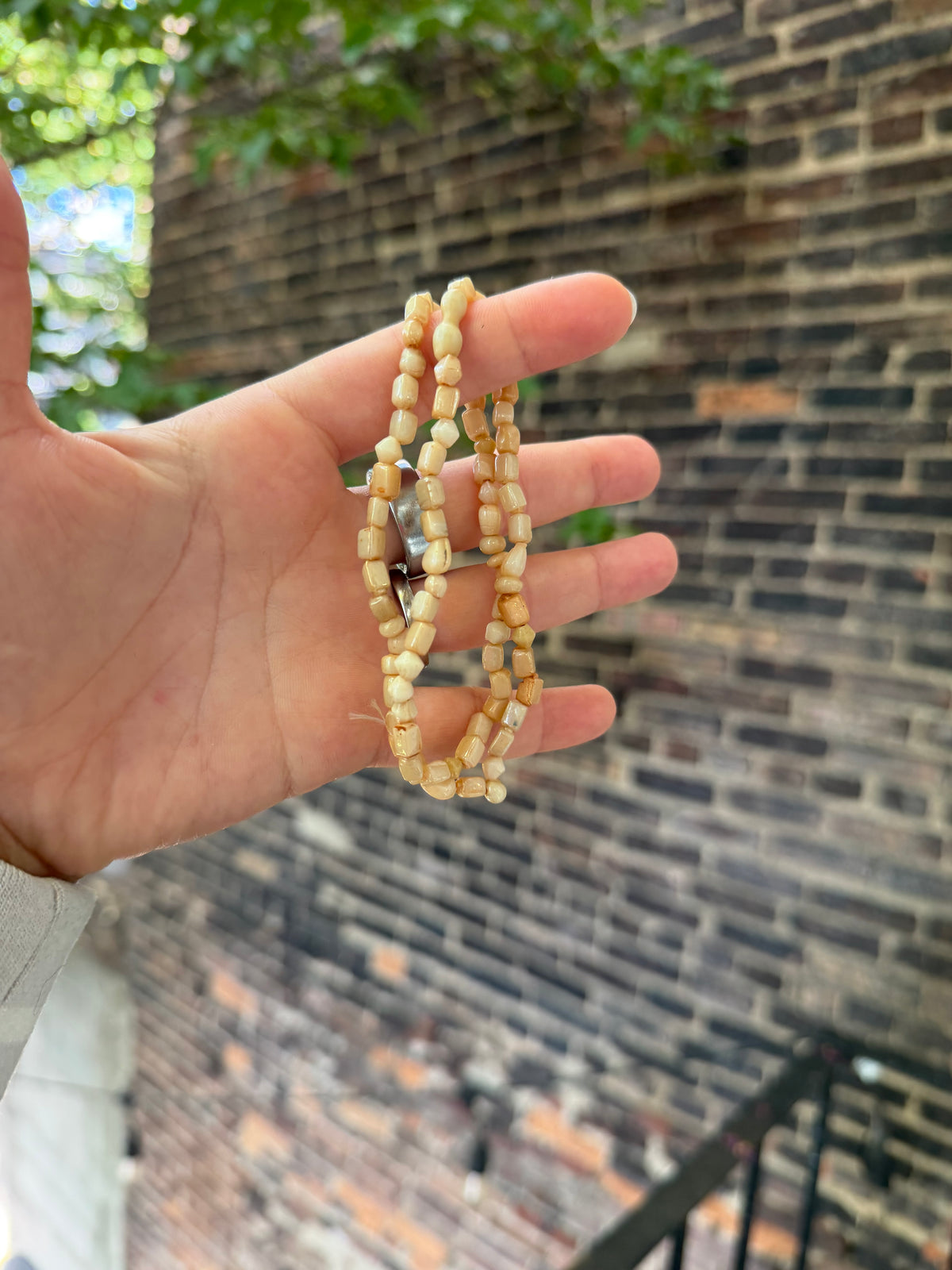 Shell Nuggets