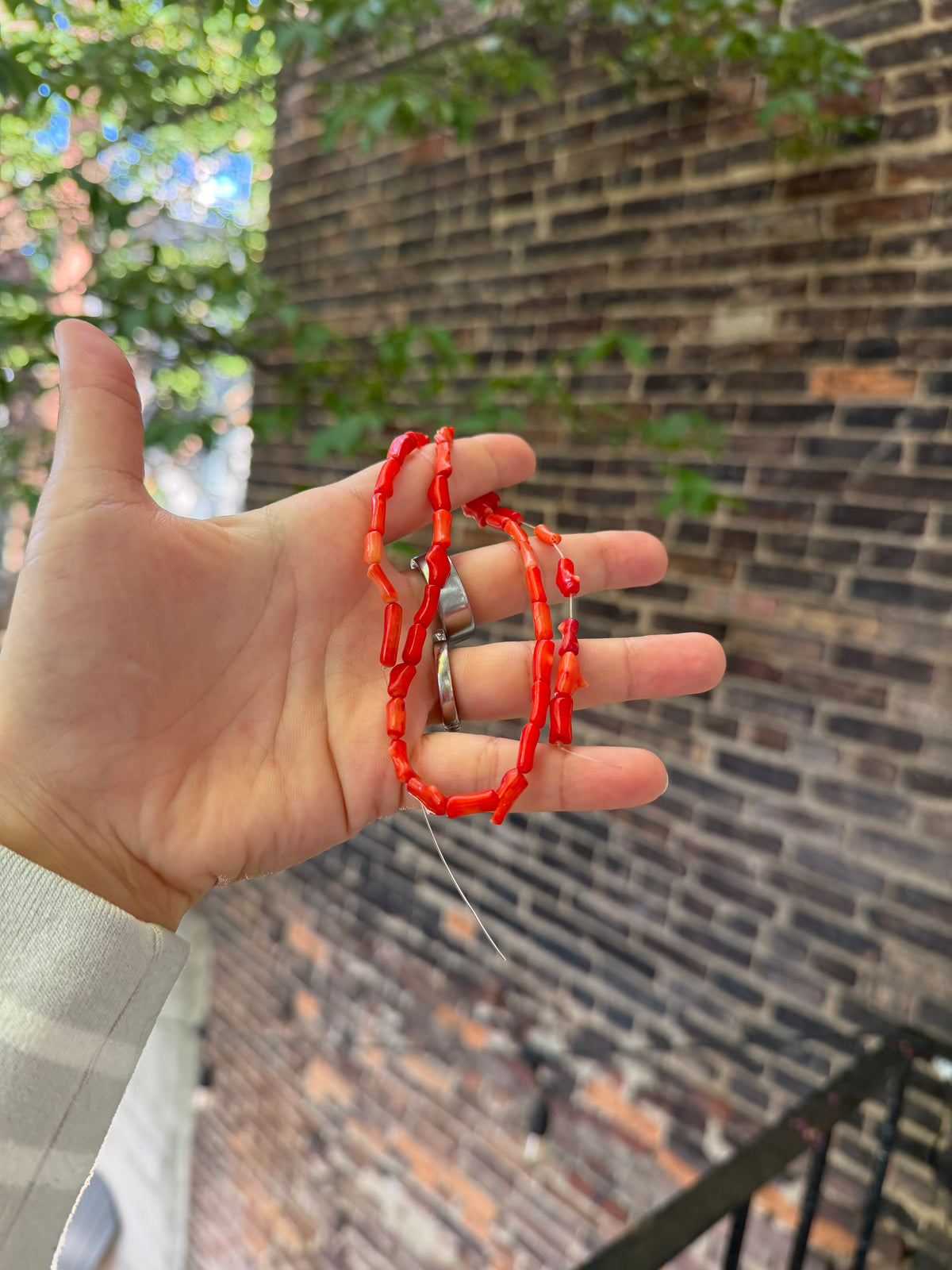 Red Coral