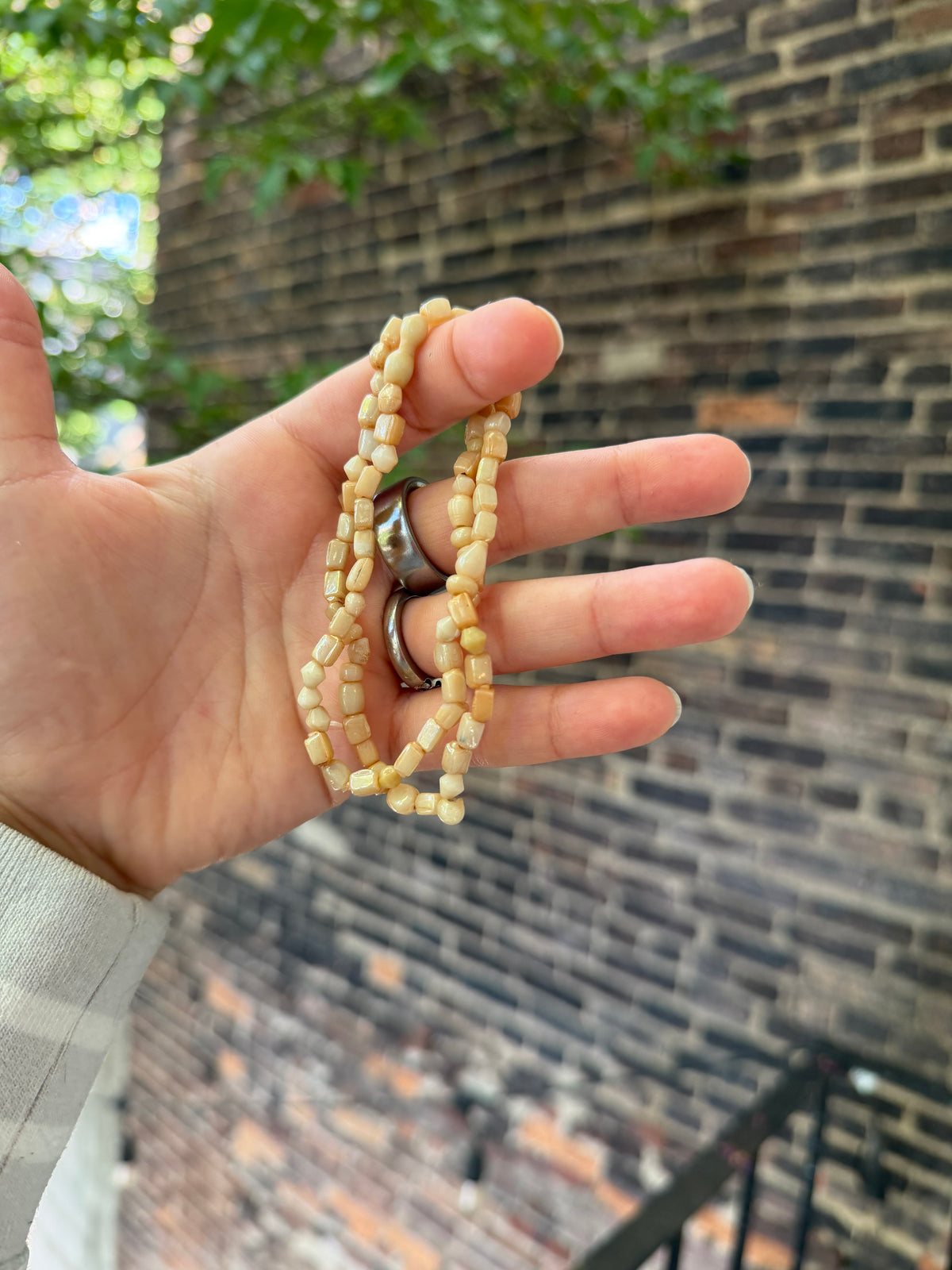 Shell Nuggets