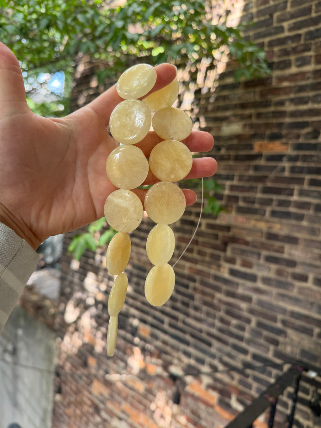 Beige Large Coins