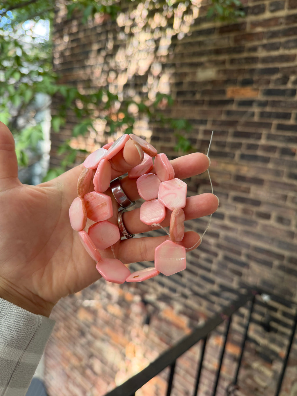 Dyed Pink Shell Stop-sign