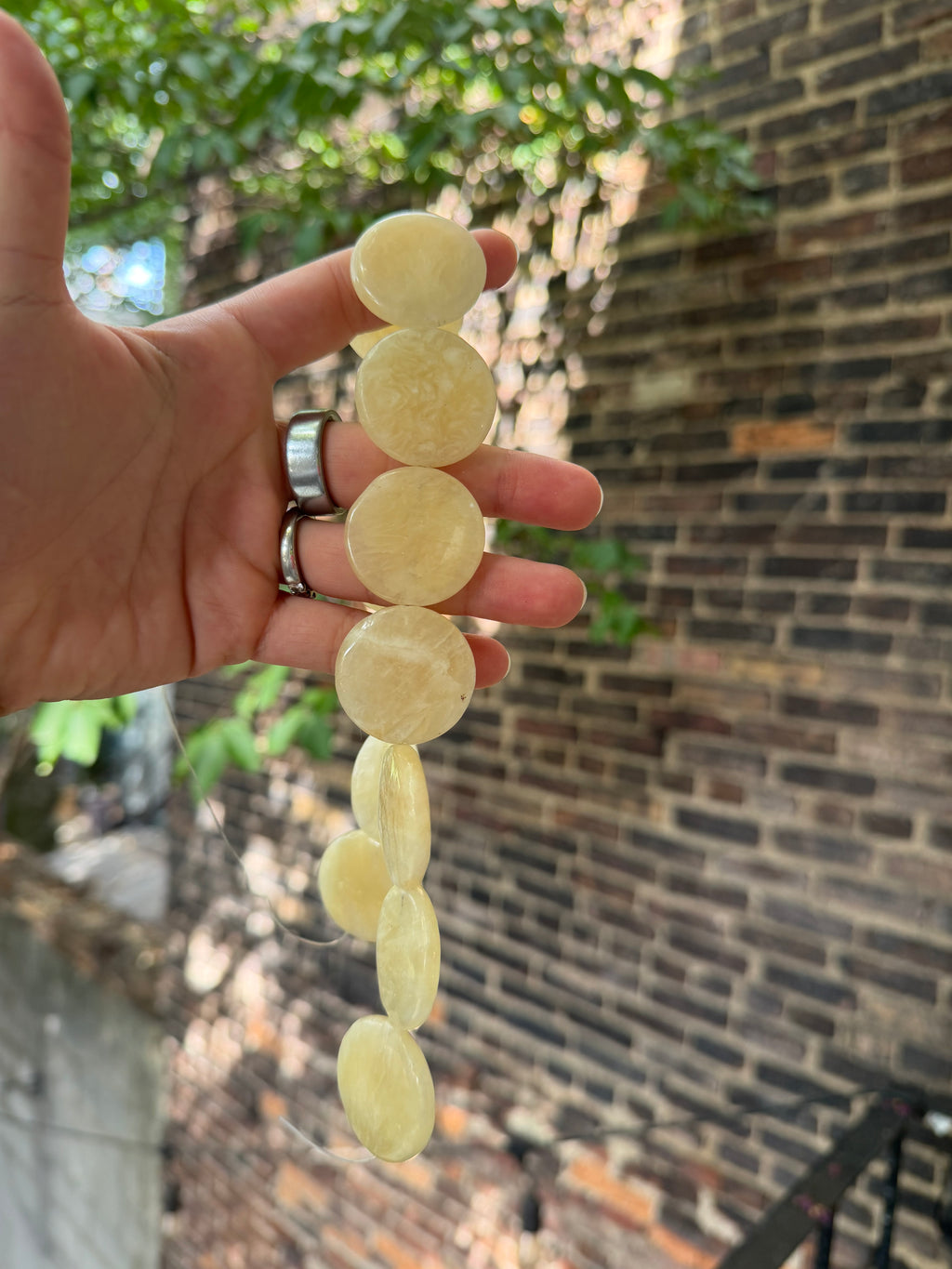 Beige Large Coins
