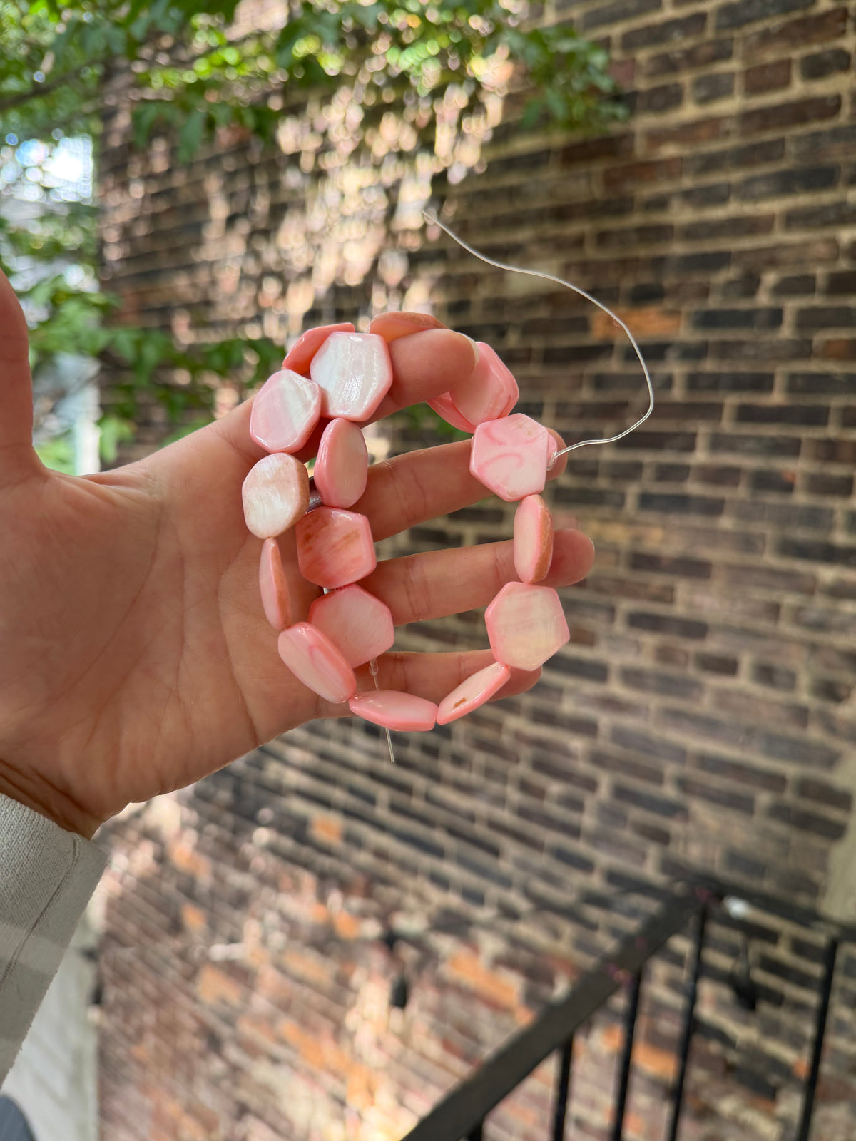 Dyed Pink Shell Stop-sign
